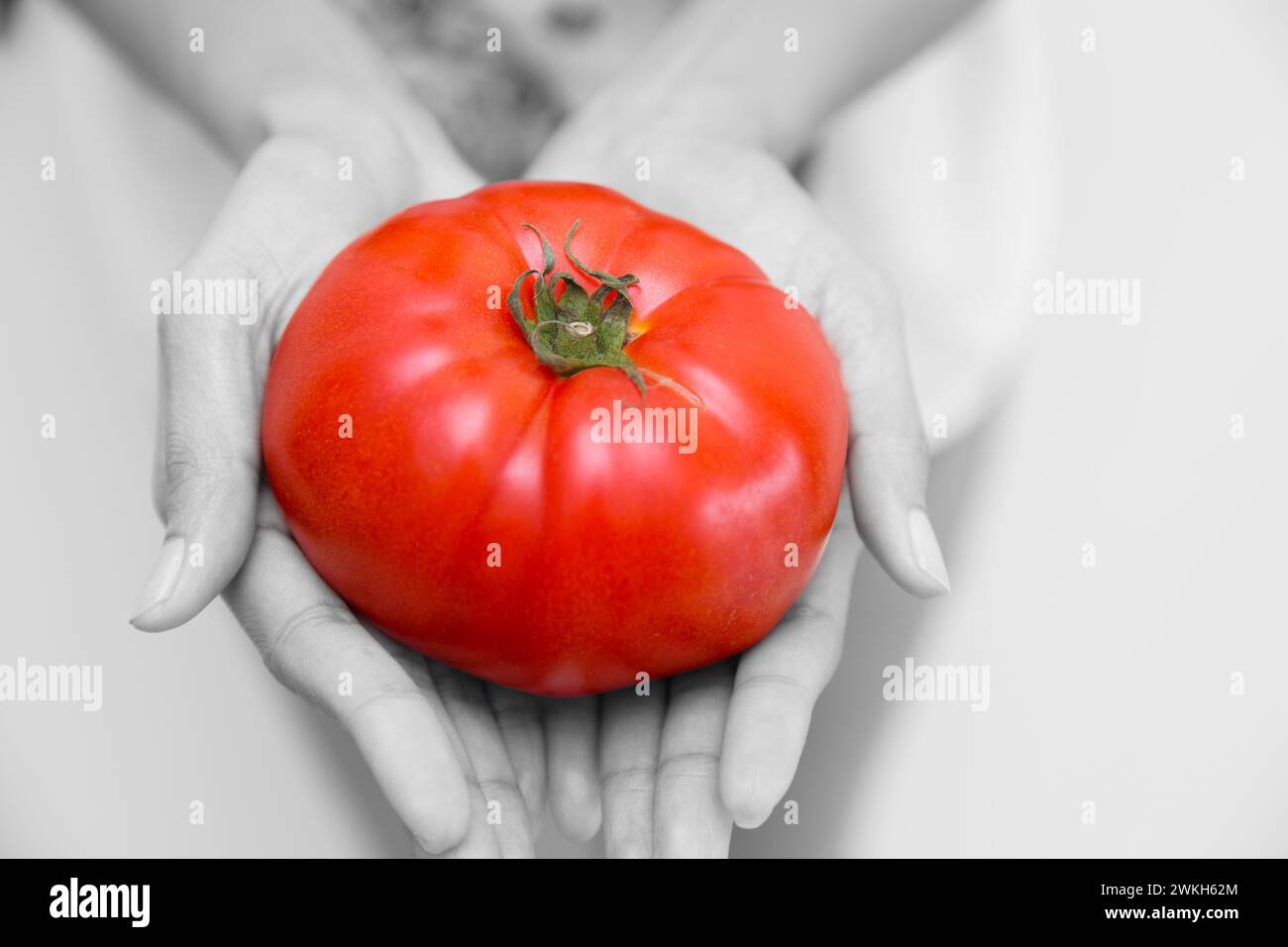 Tomate en main pour une nutrition élevée en lycopène vitamine bonne nourriture végétale pour la santé Banque D'Images
