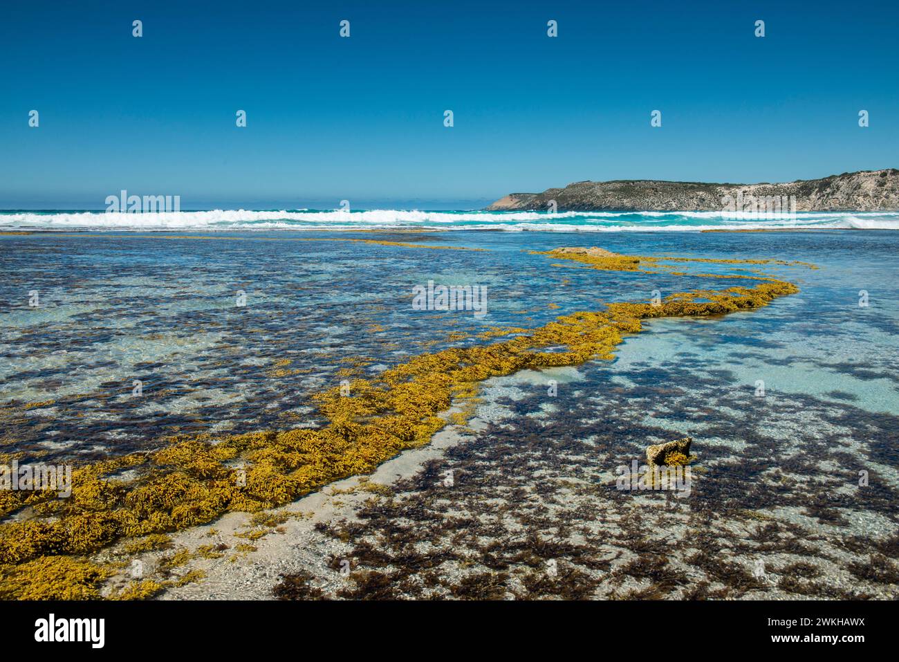 Pennington Bay, Kangaroo Island, Australie du Sud Banque D'Images