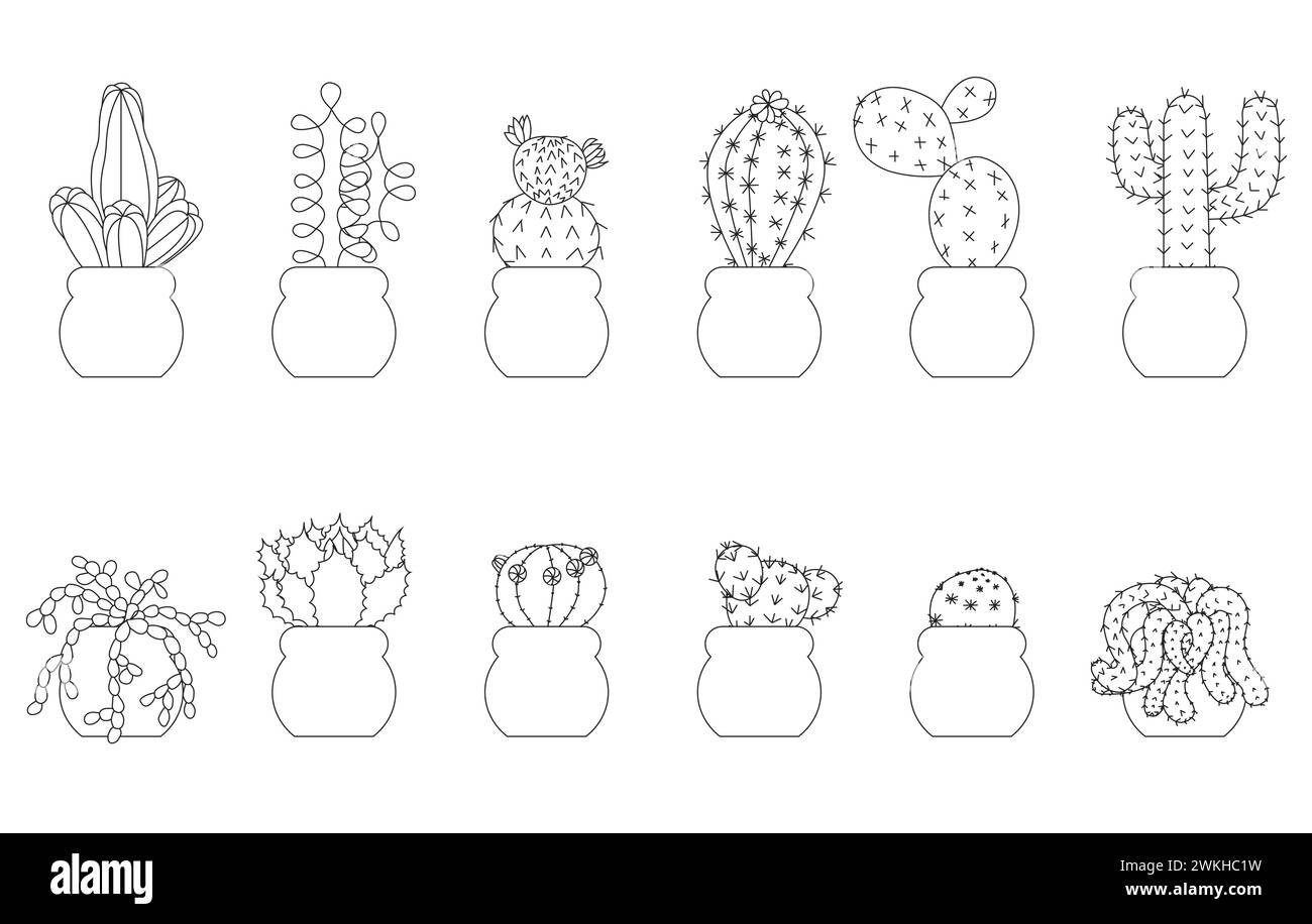 Contour d'un cactus. Kit. Illustration vectorielle isolée sur fond blanc. Illustration de Vecteur