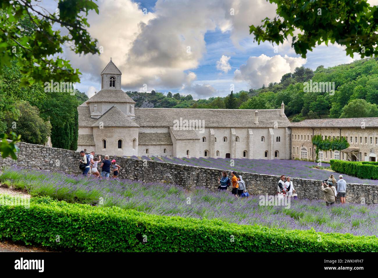 Abbaye notre-Dame de Sénanque, Gordes, Vaucluse, Provence-Alpes-Côte d’Azur, France, Europe Banque D'Images