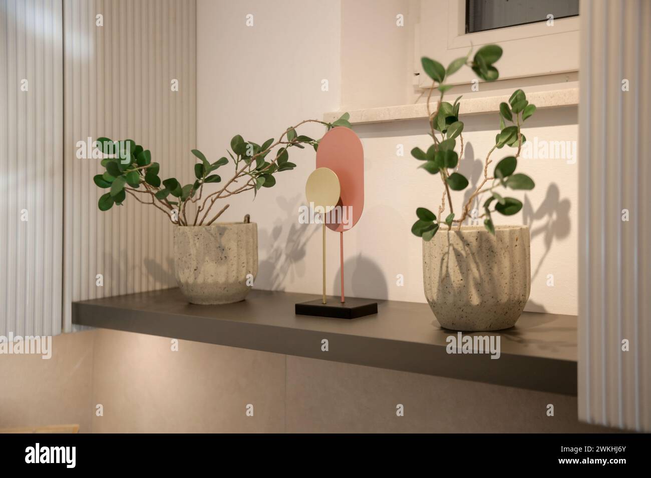Plante de maison dans des pots et pièce décorative moderne sur l'étagère Banque D'Images