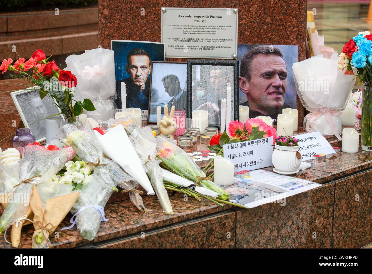 Séoul, Corée du Sud. 21 février 2024. Fleurs et portraits du dirigeant de l'opposition russe Alexei Navalny vus sur le site commémoratif, place Pouchkine. Alexei Navalny (4 juin 1976 - 16 février 2024) était un leader de l'opposition russe, avocat, militant anti-corruption et prisonnier politique. Il a organisé des manifestations anti-gouvernementales et brigué une charge publique pour s'opposer à la corruption en Russie et plaider pour des réformes contre le président Vladimir Poutine et son gouvernement. Crédit : SOPA images Limited/Alamy Live News Banque D'Images