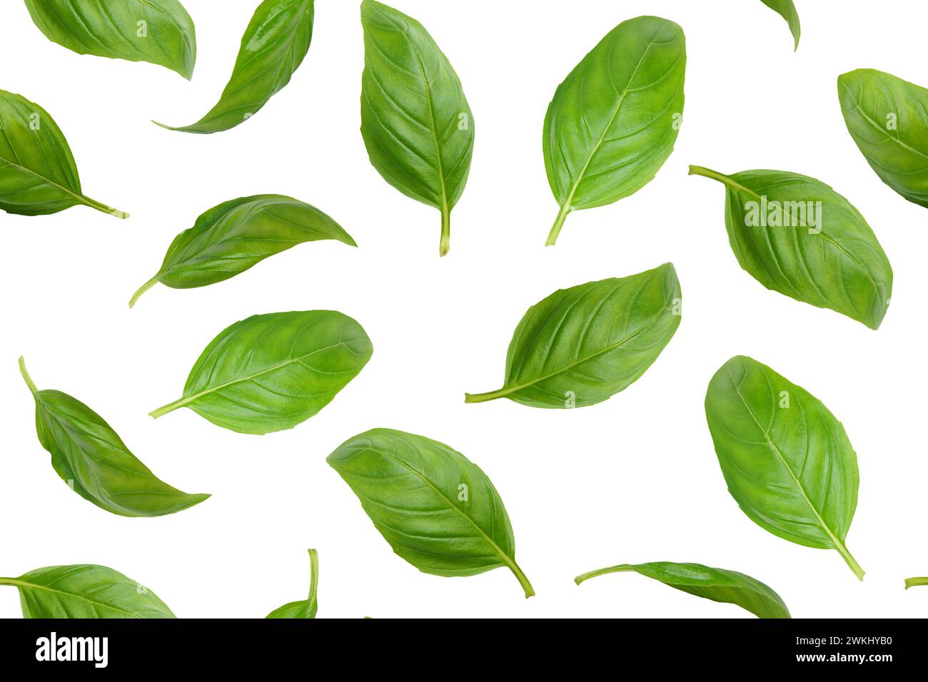 Feuilles de basilic organique vert frais volantes, isolées sur fond blanc. Lévitation alimentaire créative, modèle sans couture pour la conception. Ingrédient, épice pour co Banque D'Images
