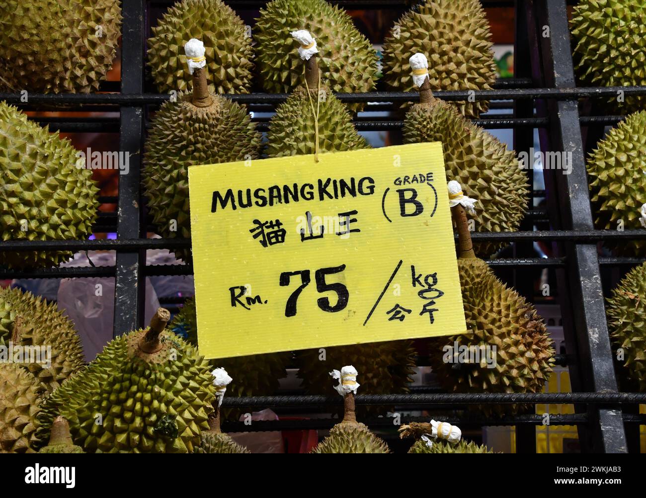 Délicieux durians malaisiens charnus aromatiques juteux vendus par les étals de fruits dans le marché de nuit, Bukit Bintang, Kuala Lumpur, Malaisie. Roi des fruits. Banque D'Images