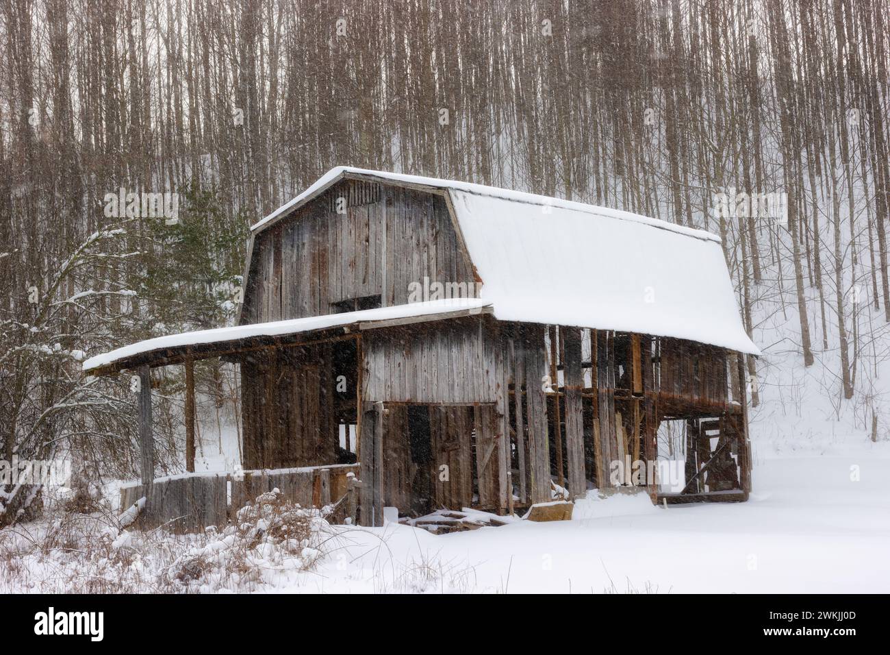 Paysage d'hiver avec une ancienne grange rustique à rual Tennessee, États-Unis Banque D'Images