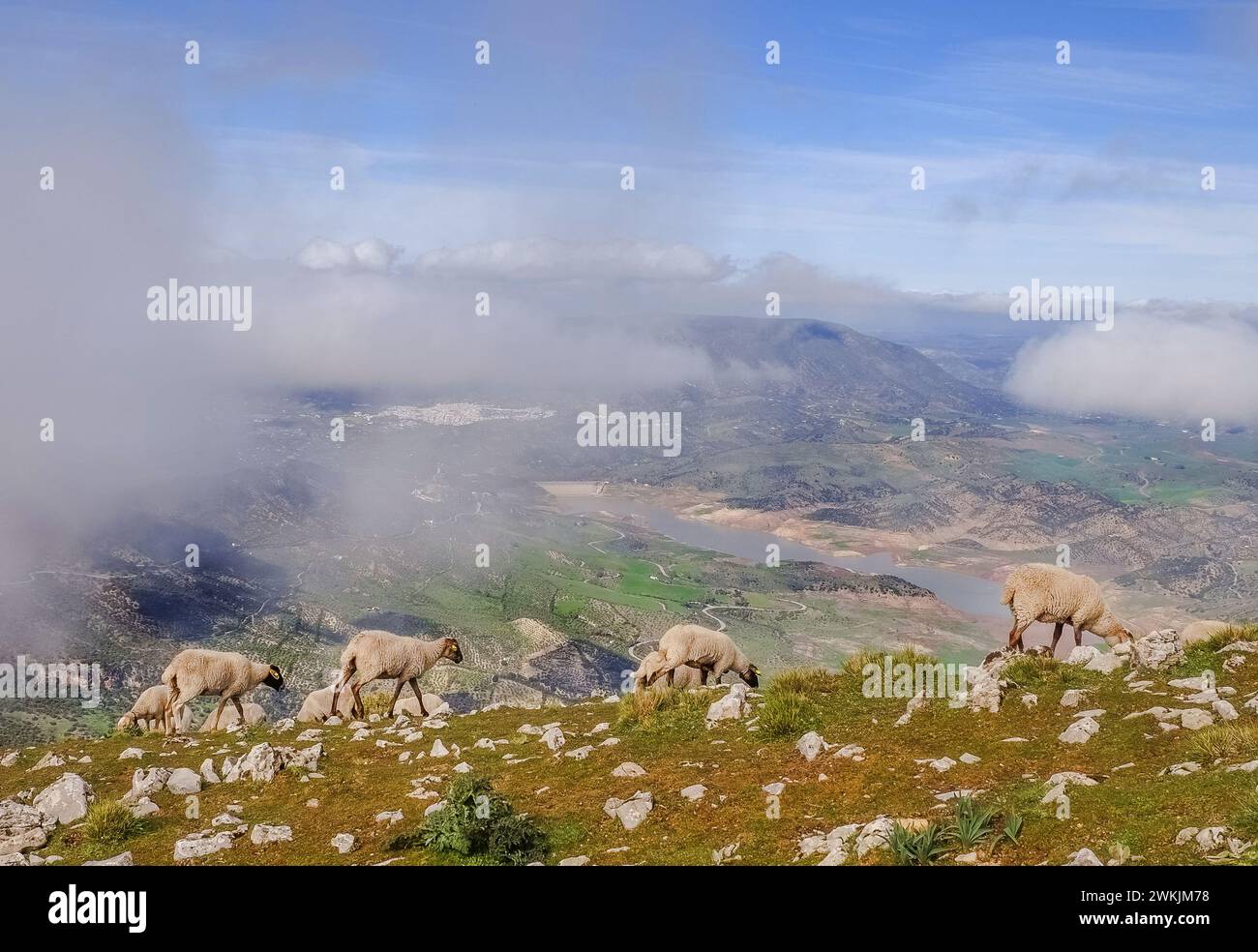 Parc national de Grazalema, promenade Banque D'Images