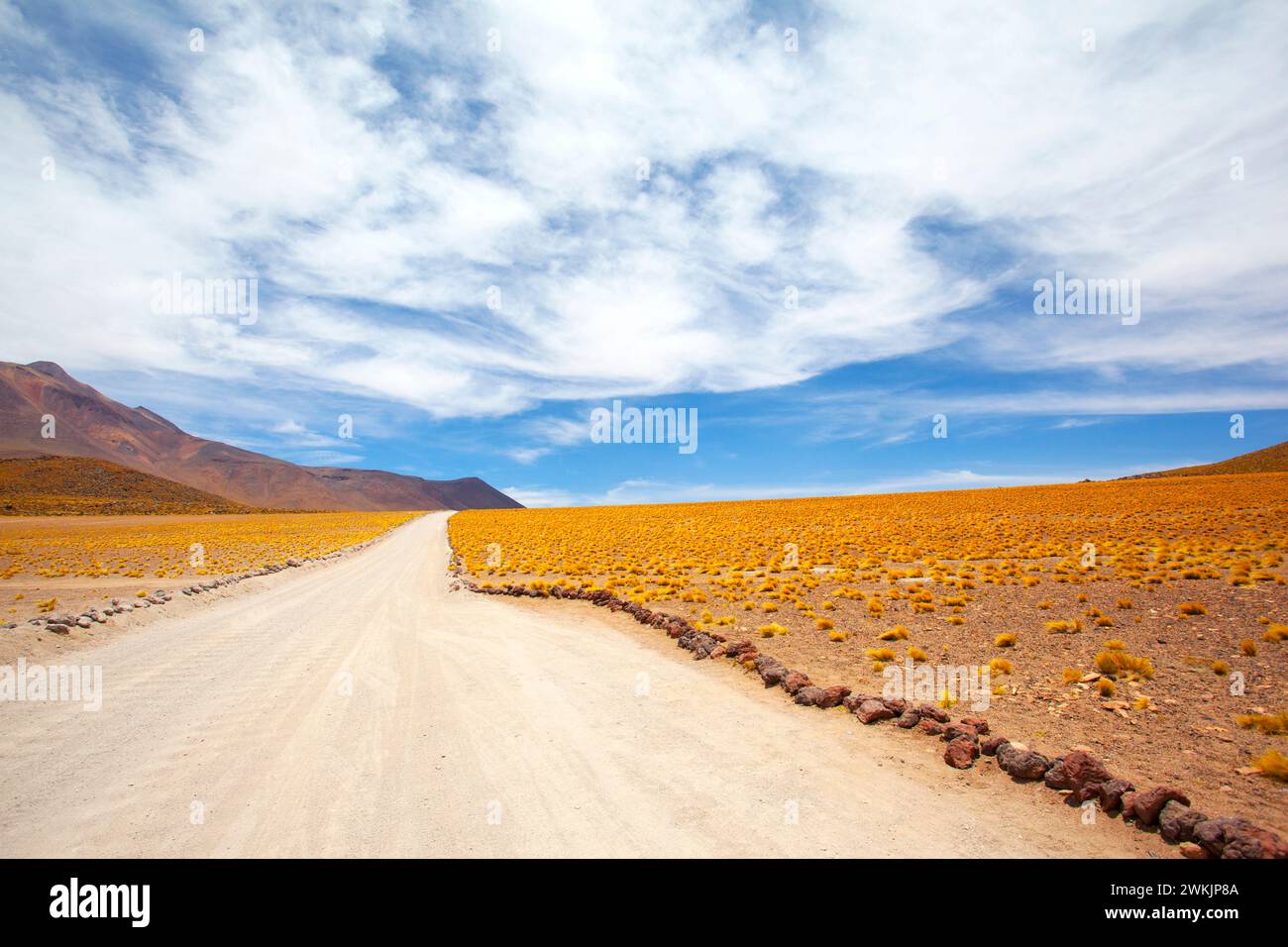 Paysage plateau de Tha Atacama, Chili. Banque D'Images