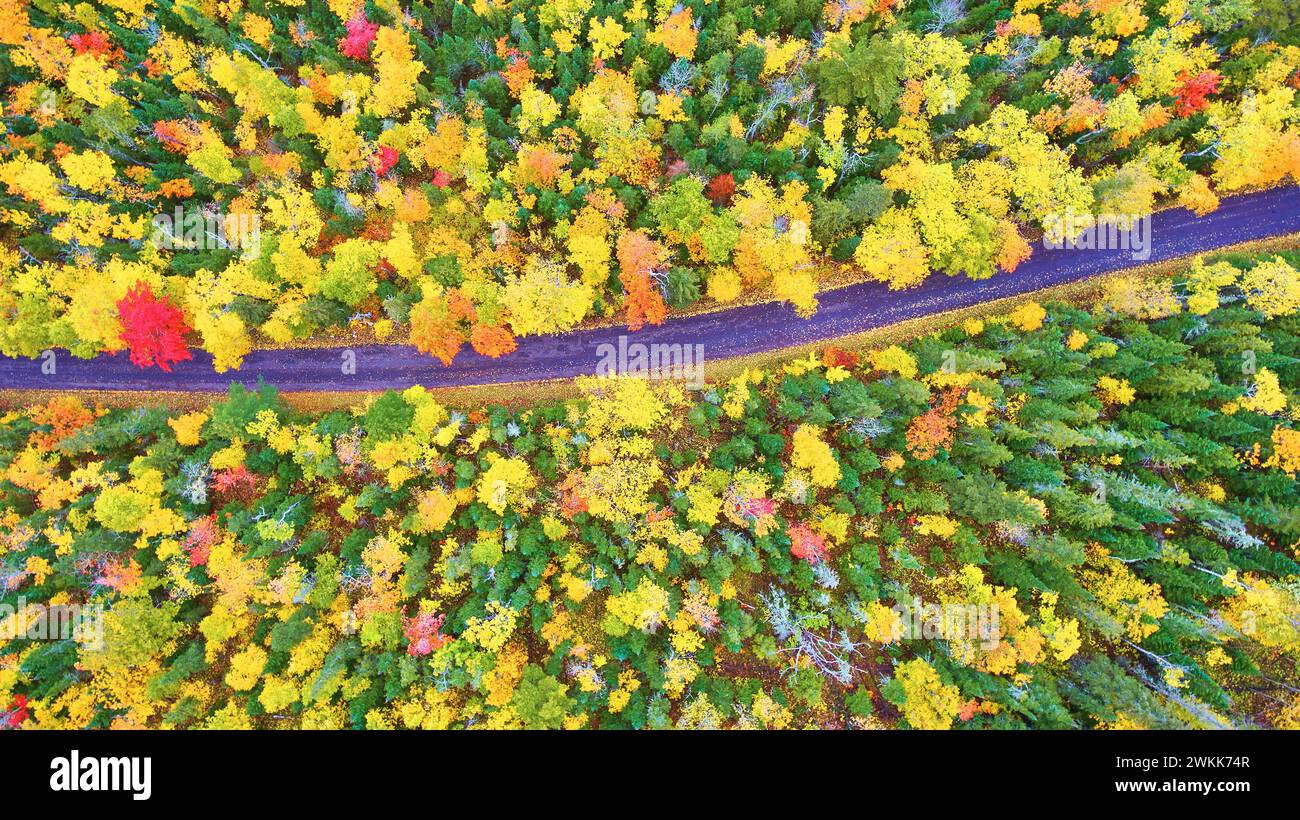 Aerial Top Down Autumn Forest Road dans le Michigan - couleurs d'automne vibrantes Banque D'Images