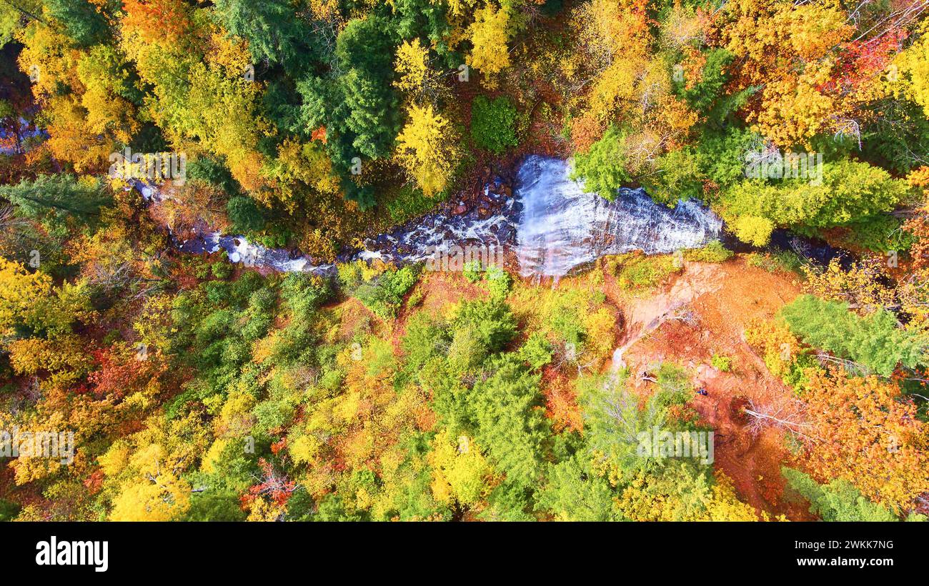 Vue aérienne de haut en bas de la forêt d'automne et ruisseau serein dans le Michigan Banque D'Images