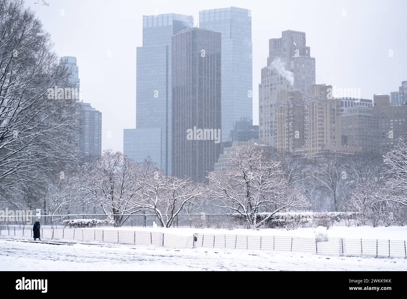 Saison d'hiver à New York Banque D'Images
