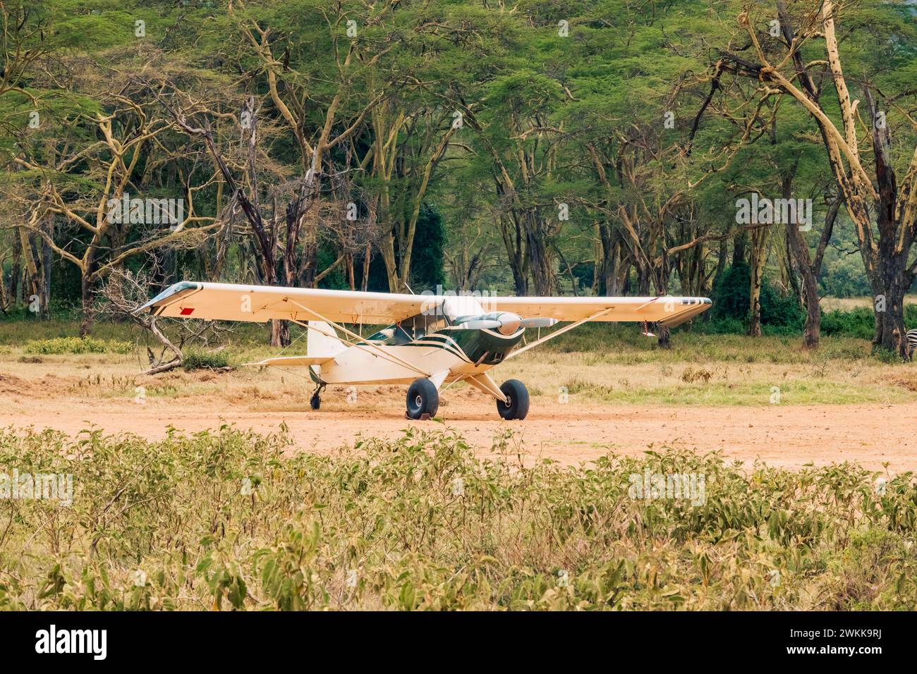 Un troupeau de zèbres marchant à côté d'un petit avion dans le parc national du lac Nakuru au Kenya Banque D'Images