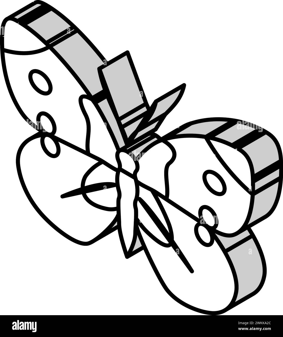 illustration vectorielle d'icône isométrique d'été blanc de chou Illustration de Vecteur