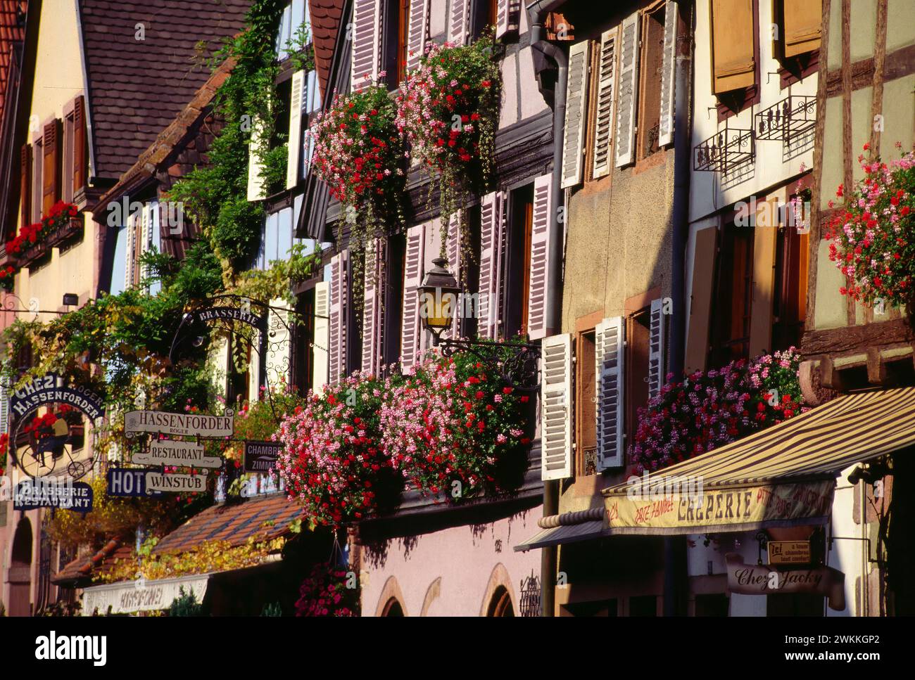 Cafés, façades historiques, Kaysersberg, Alsace, France Banque D'Images