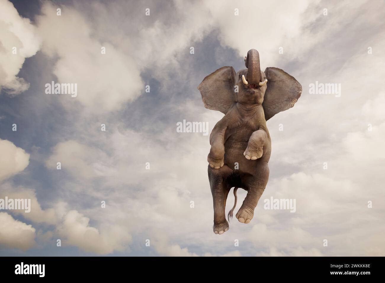 Un éléphant s'élève à travers le ciel Dumbo comme dans une image drôle sur les compétences et les capacités inattendues, bizarres, uniques et inhabituelles Banque D'Images