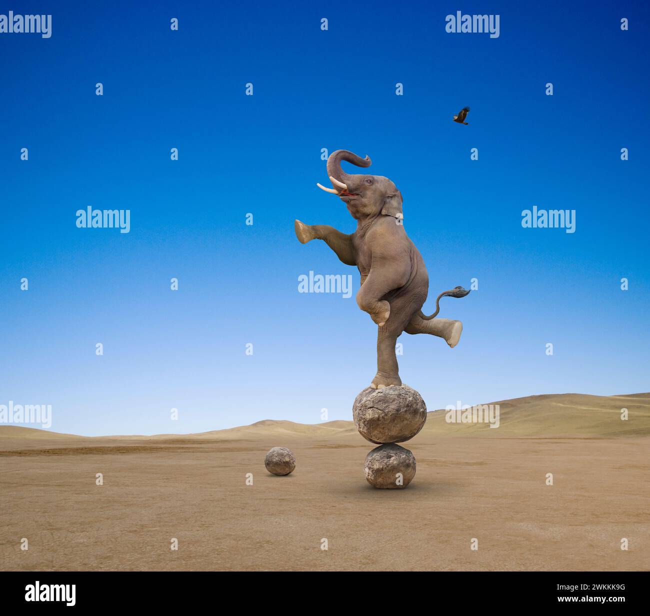 Un éléphant se tient sur un pied et se balance sur une pile de rochers dans une métaphore visuelle drôle pour toute grande entreprise qui reste agile et agile. Banque D'Images