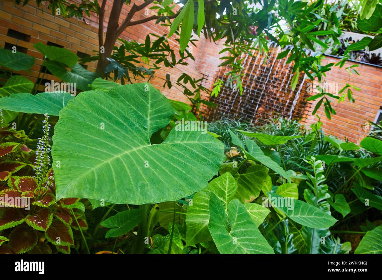 Urban Garden Tranquility : verdure luxuriante et toile de fond industrielle Banque D'Images