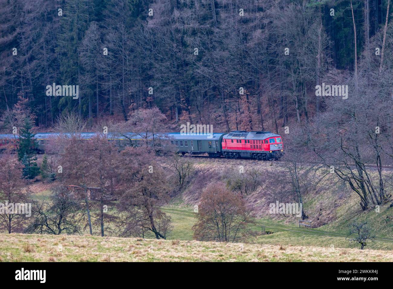 Le train spécial 'Winterblitz' peu avant d'entrer dans Schmalkalden - Thuringe - Allemagne Banque D'Images