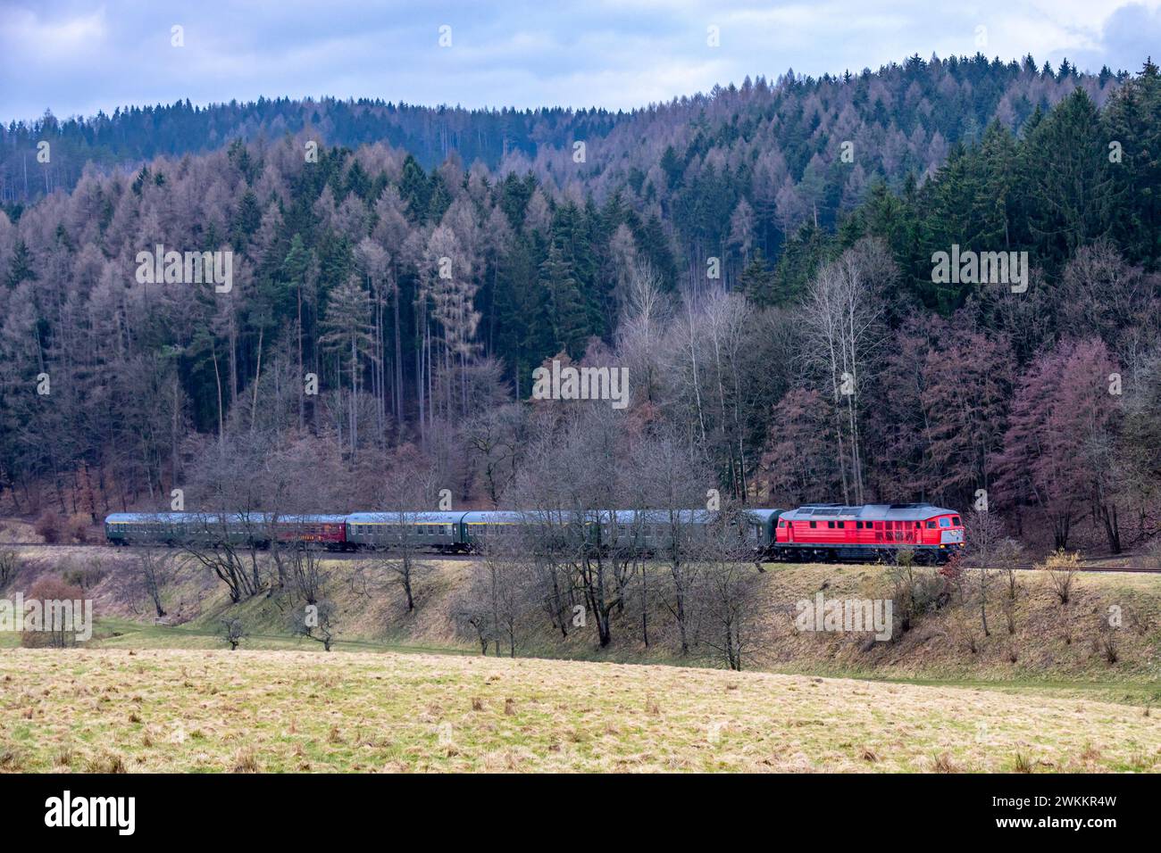 Le train spécial 'Winterblitz' peu avant d'entrer dans Schmalkalden - Thuringe - Allemagne Banque D'Images