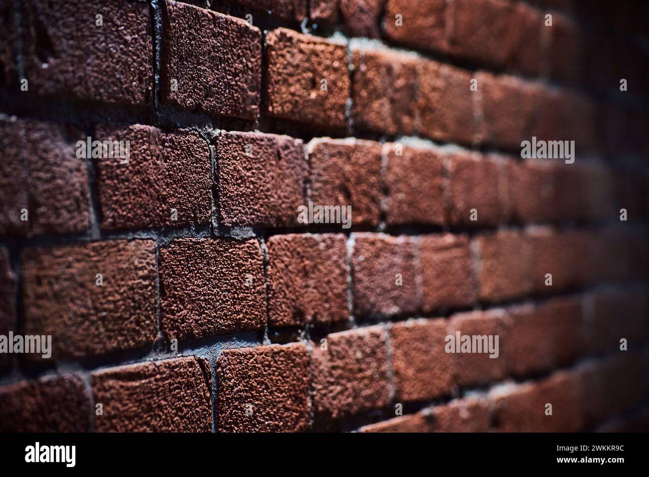 Gros plan sur le mur de briques texturées avec champ de faible profondeur Banque D'Images