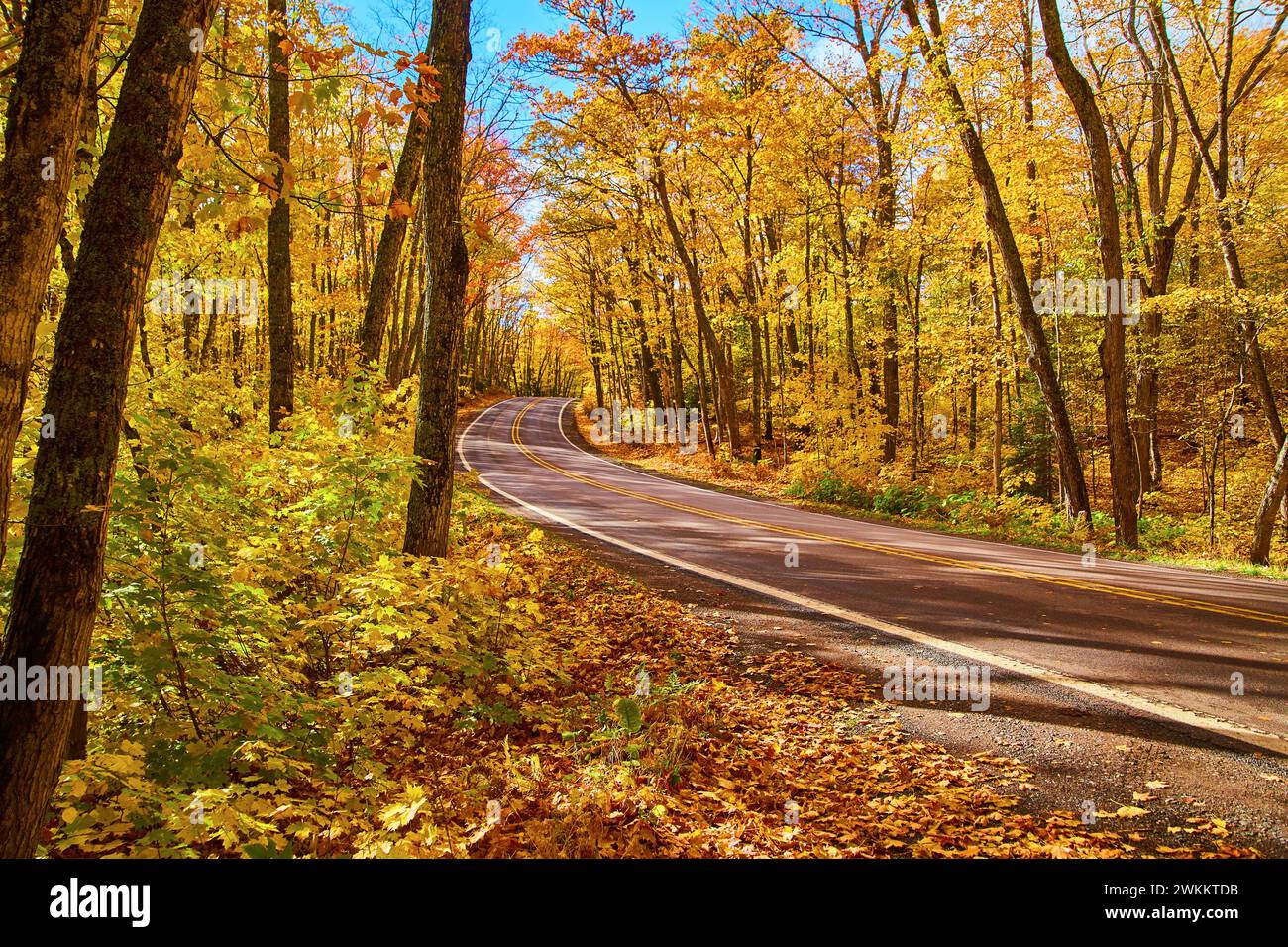 Autumnal Forest Road à Keweenaw, feuillage d'automne chaud et Serene Drive Banque D'Images