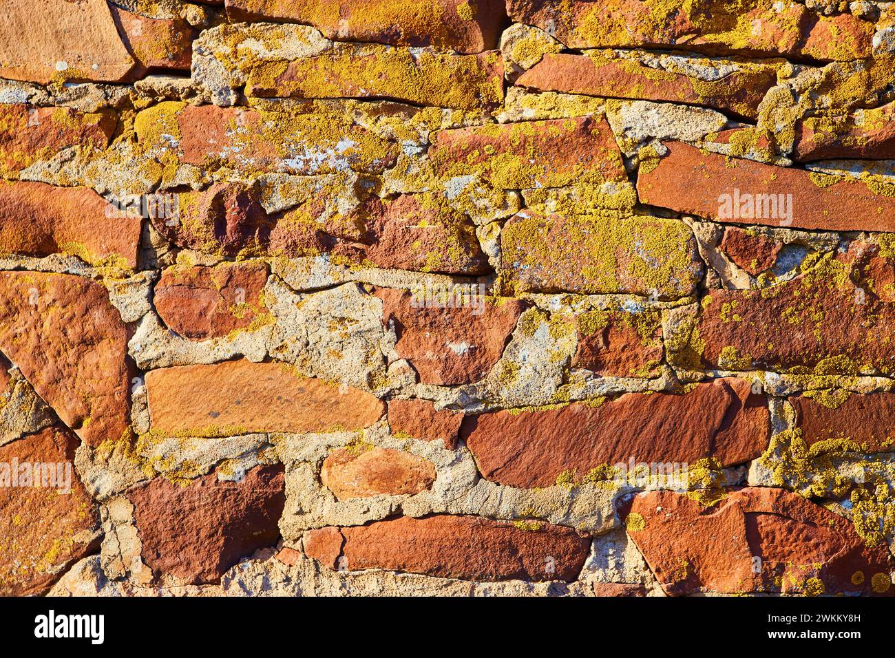 Mur rustique de briques rouges avec croissance de lichen, fond texturé Banque D'Images