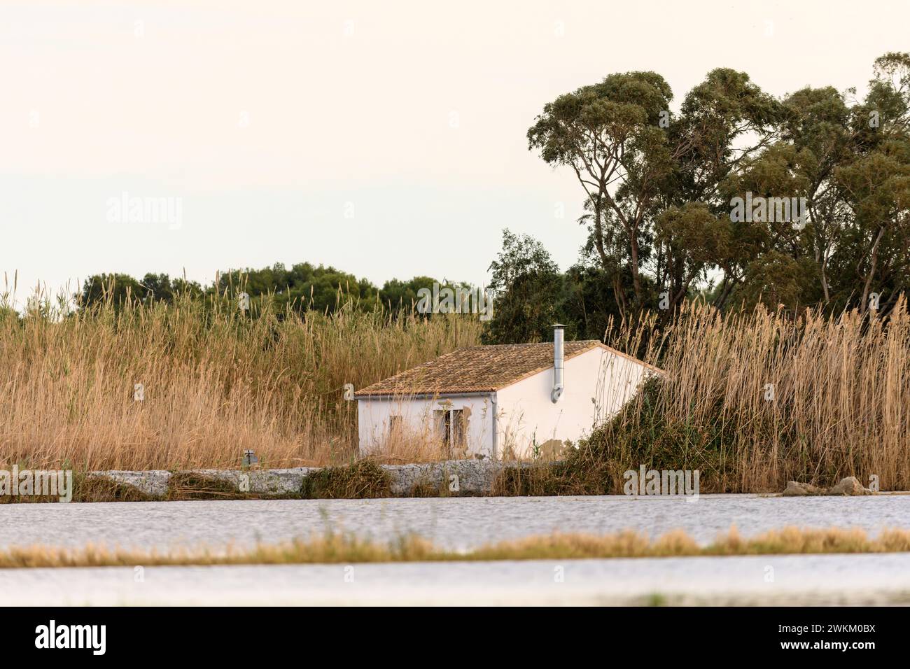 Un charmant cottage au toit de chaume se dresse au bord de l'eau dans le parc naturel d'Albufera près de Valence, offrant une retraite rurale paisible. Banque D'Images