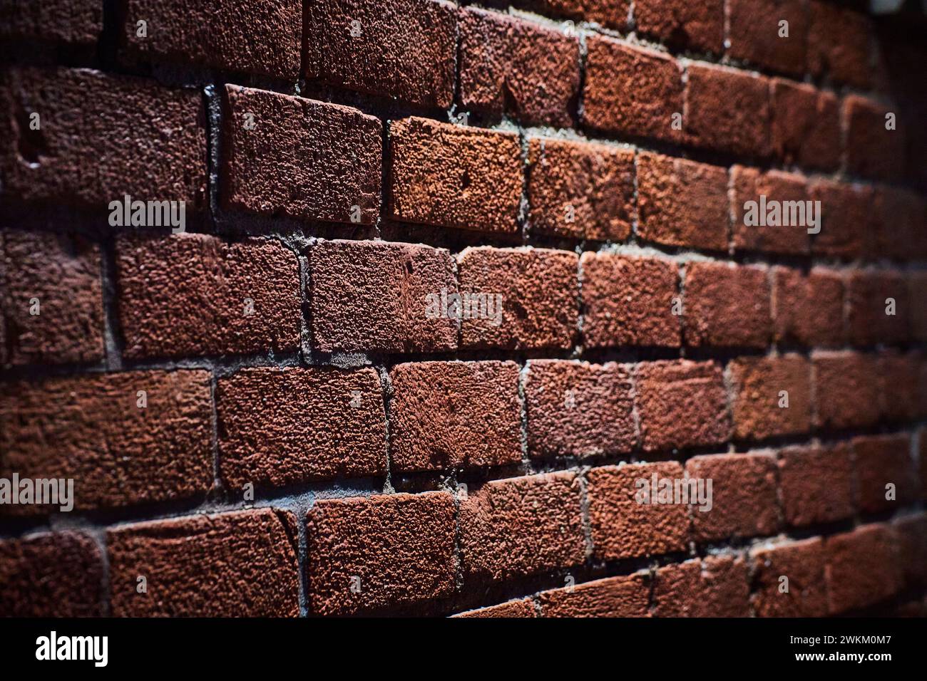 Détail de mur de briques texturées avec champ de faible profondeur Banque D'Images