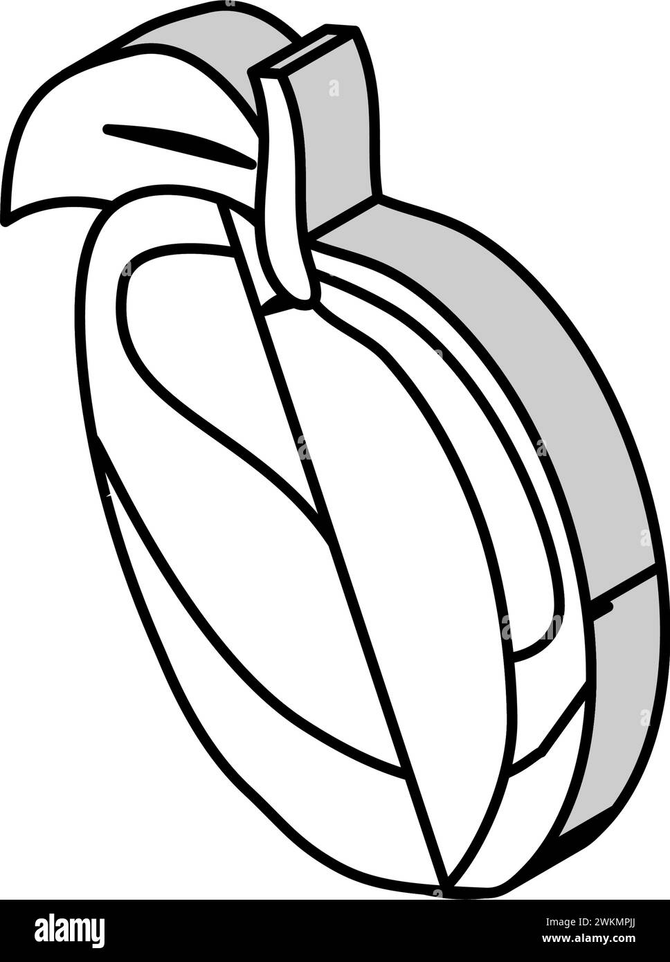 immortel pêche taoism isoometric icône illustration vectorielle Illustration de Vecteur