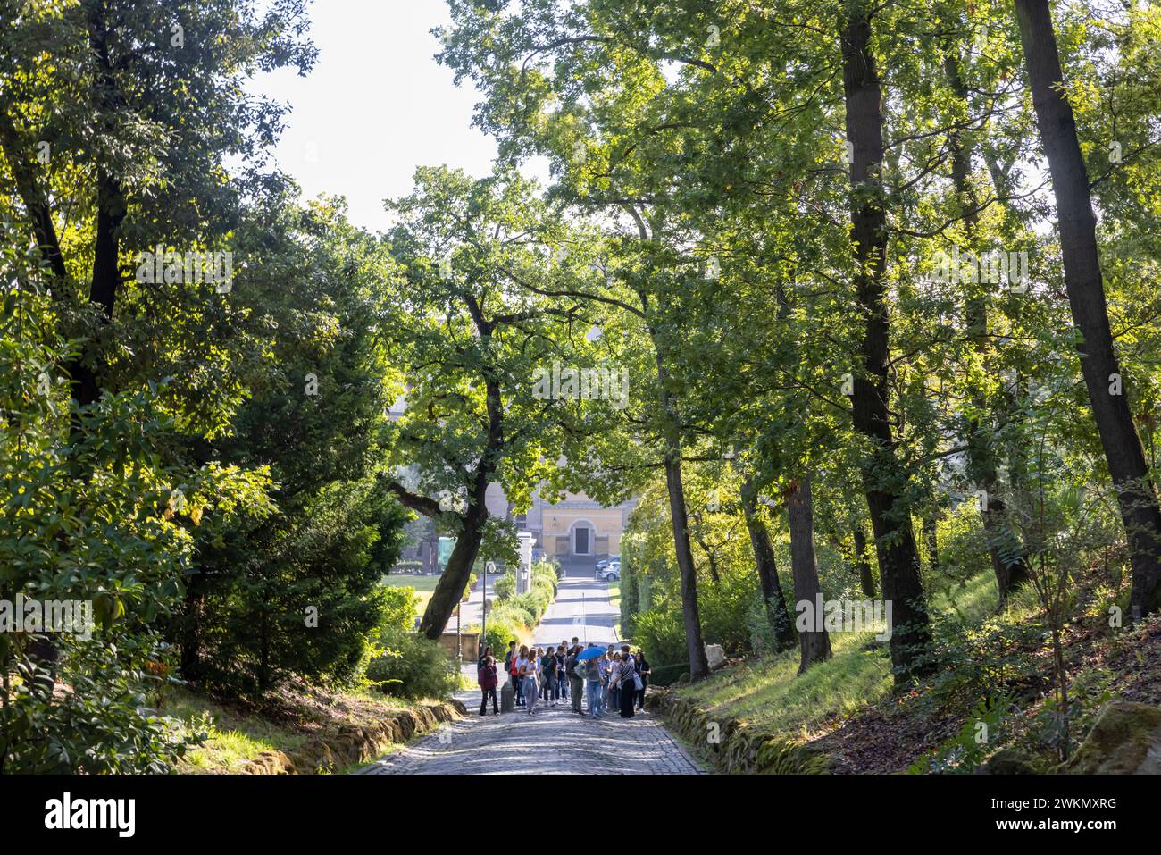 La vue sur la basilique Saint-Pierre met en valeur une promenade dans les jardins papaux du Vatican. Banque D'Images