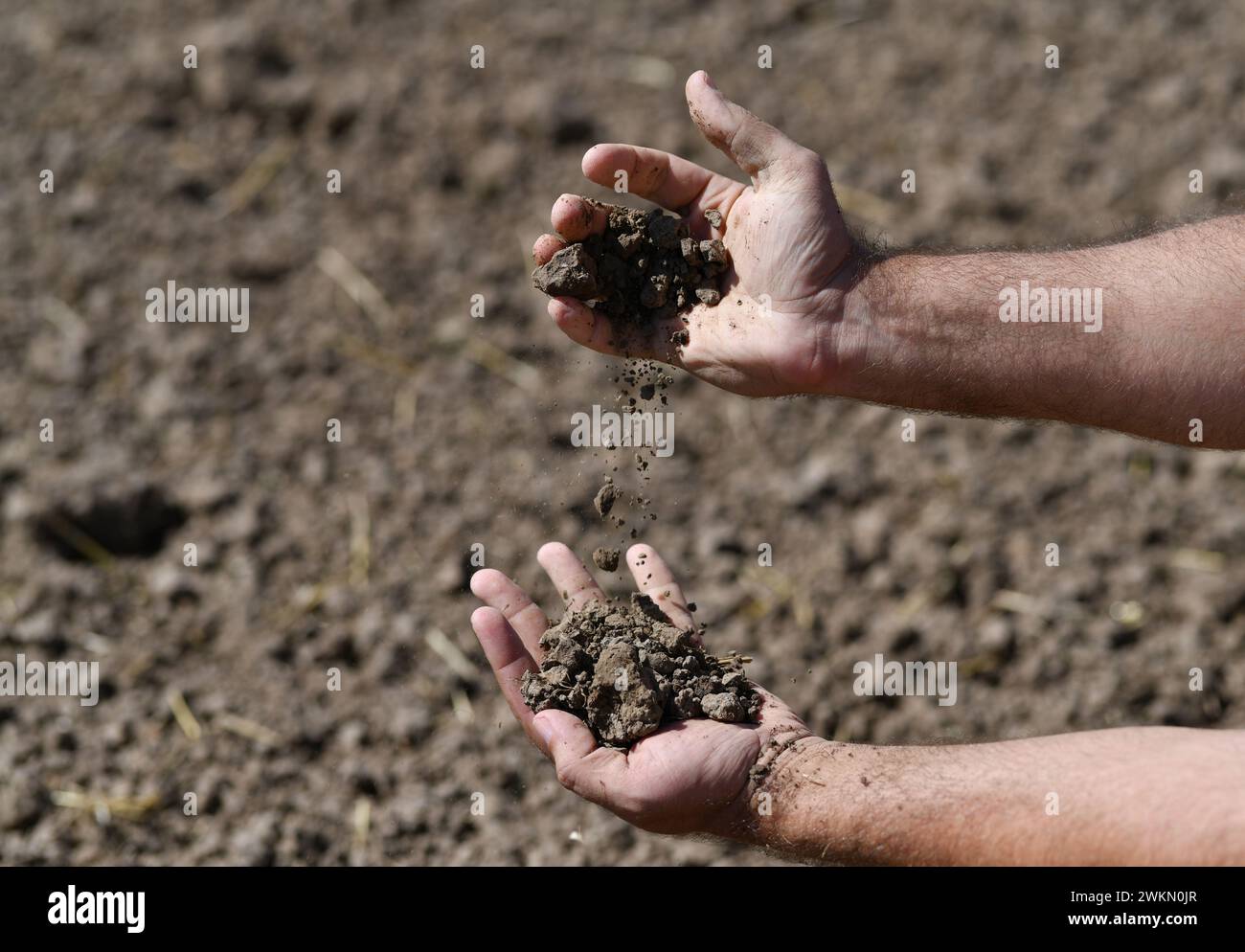 Agriculteur tenant un sol fertile entre les mains. Agriculture, agro-industrie. Jardinier tient le sol fertilisé. Concept agricole. Saison de jardinage. Champ de sol Banque D'Images