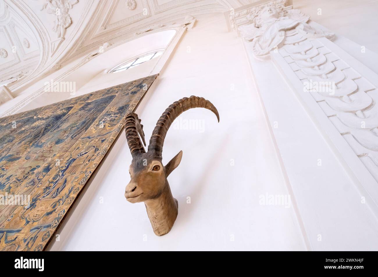 Tête d'animal montée au Musée allemand de la chasse et de la pêche à Munich, Allemagne Banque D'Images