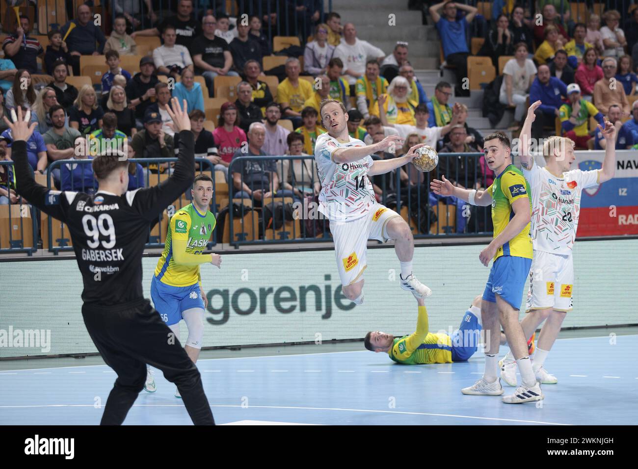 Celje, Slovénie. 21 février 2024. Omar Ingi Magnusson (Top) du SC Magdeburg tire lors de la Ligue des champions EHF masculine entre le RK Celje Pivovarna Lasko et le SC Magdeburg à Celje, Slovénie, le 21 février 2024. Crédit : Zeljko Stevanic/Xinhua/Alamy Live News Banque D'Images