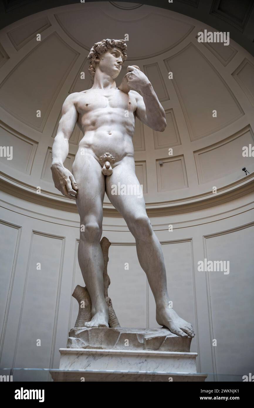 « David », le chef-d'œuvre de Michel-Ange en marbre, se dresse à 16 pieds dans une salle réservée à lui à l'Accademia de Florence, en Italie. Banque D'Images
