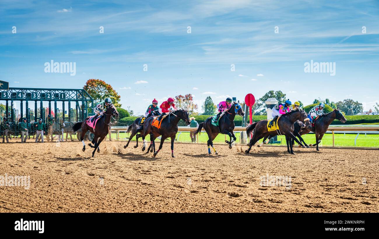Keeneland, Lexington, Kentucky, 18 octobre 2023 : rencontre d'automne de Keenealand, début de la course 4 Banque D'Images