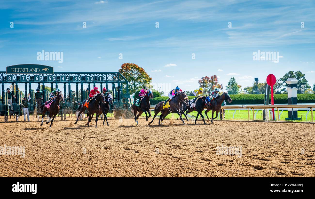 Keeneland, Lexington, Kentucky, 18 octobre 2023 : rencontre d'automne de Keenealand, début de la course 4 Banque D'Images