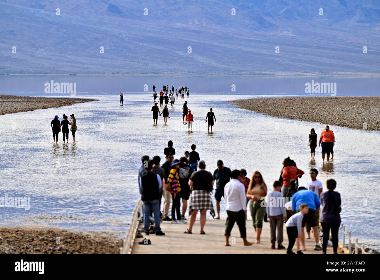 21 février 2024 - Parc national de la Vallée de la mort, Californie, États-Unis - les gens apprécient la possibilité de marcher dans l'eau lors de leur visite du bassin Badwater dans le parc national de la Vallée de la mort, Californie, le 21 février 2024. Le bassin de Badwater a été inondé par l'ouragan Hilary en août 2023 et les pluies récentes en Californie. C'est le point le plus bas en Amérique du Nord, à 282 pieds sous le niveau de la mer. Le lac éphémère, connu sous le nom de lac Manly, mesure six milles de long, trois milles de large, un pied de profondeur et se trouve dans l'ombre de la chaîne Panamint. (Crédit image : © David Becker/ZUMA Press Wire) USAGE ÉDITORIAL SEULEMENT! Non destiné à UN USAGE commercial ! Banque D'Images