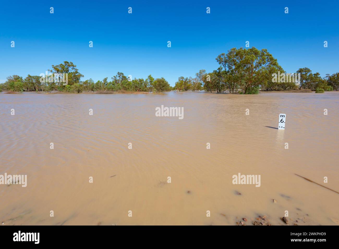 Cooper Creek en pleine inondation à 6 mètres dans l'Outback australien, Innamincka, Queensland, Queensland, Queensland, Australie Banque D'Images