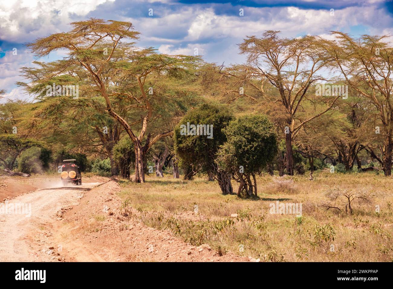 Safari van sur un chemin de terre sur les rives du lac Nakuru dans le parc national du lac Nakuru au Kenya Banque D'Images