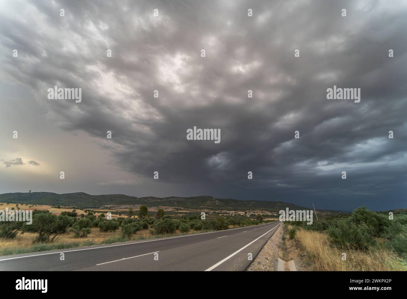 Route vide (route asphaltée) à travers des champs jaunâtres. Ciel spectaculaire avant la pluie et la tempête. Mammatus cumulonimbus dans le ciel. Concept de paysage. Banque D'Images Route vide (route asphaltée) à travers des champs jaunâtres. Ciel spectaculaire avant la pluie et la tempête. Mammatus cumulonimbus dans le ciel. Concept de paysage. Banque D'Images