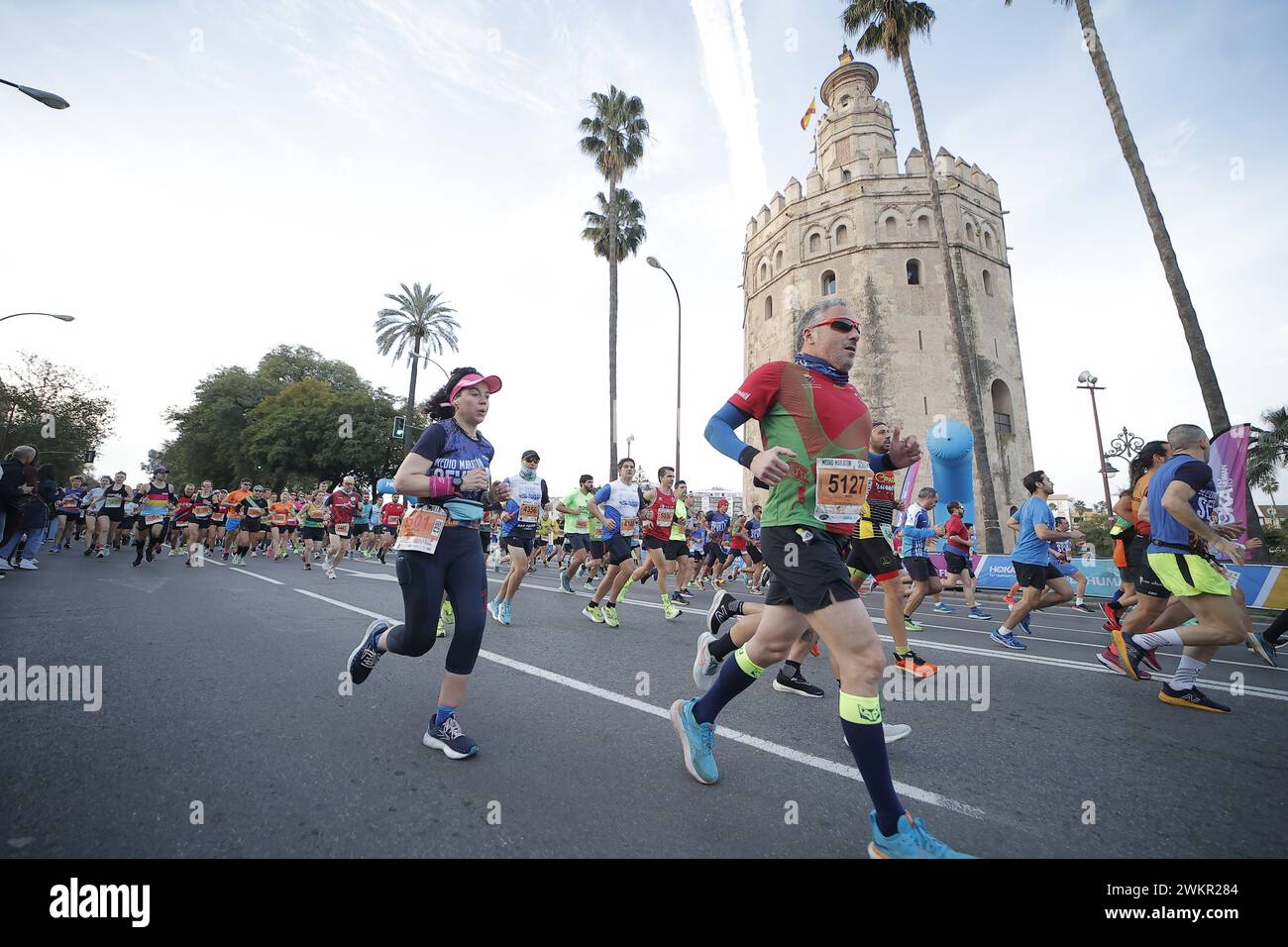 Séville, 28/01/2024. La 29ème édition du semi-marathon de Séville en passant par la Torre del Oro. Photo : Víctor Rodríguez. ARCHSEV. Crédit : album / Archivo ABC / Víctor Rodríguez Banque D'Images