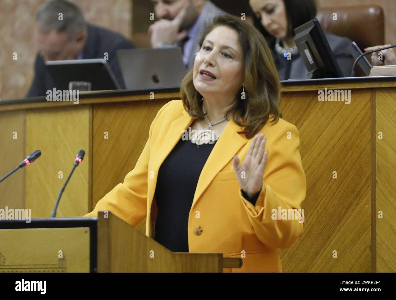Séville, 02/07/2024. Plénière au Parlement. Sur l'image, la ministre de l'Agriculture, de la pêche, de l'eau et du développement rural, Carmen Crespo. Validation du quatrième décret andalou sur la sécheresse. Photo : Raúl Doblado. ARCHSEV. Crédit : album / Archivo ABC / Raúl Doblado Banque D'Images