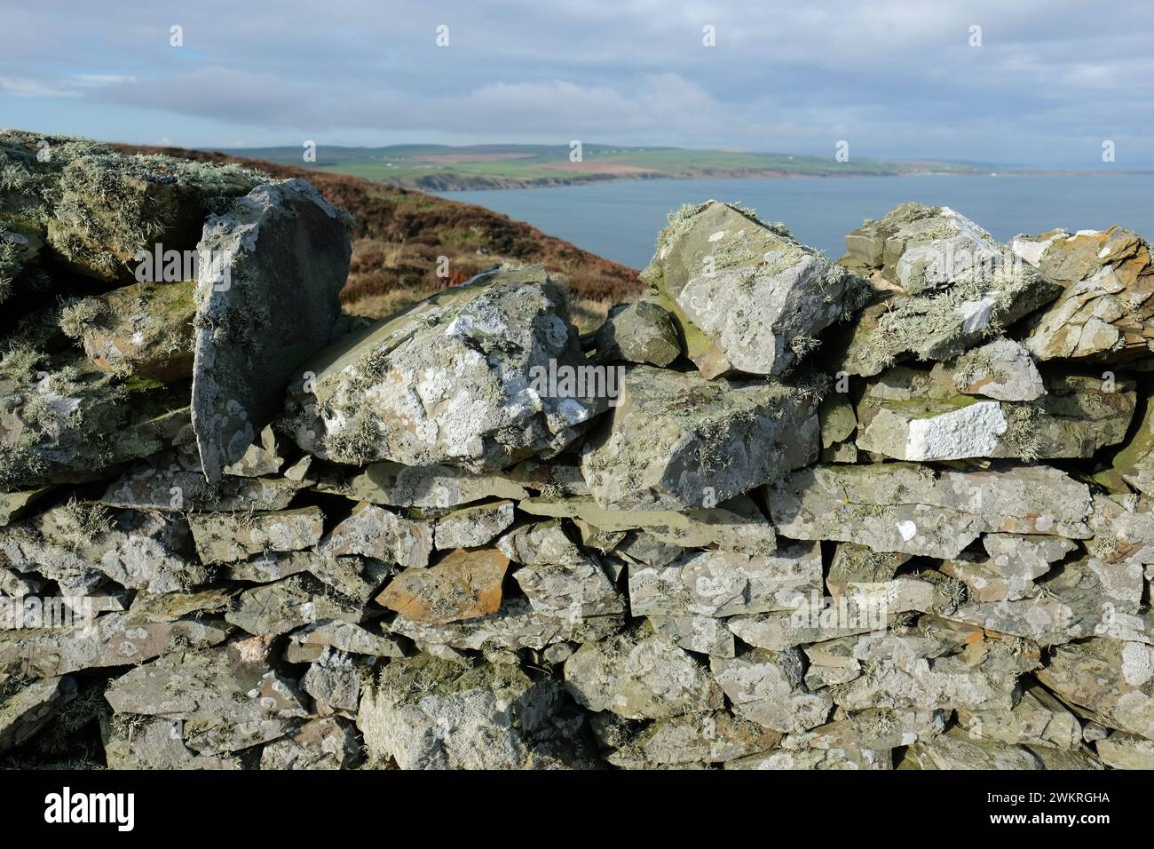 Mur de pierre sèche de Mull of Galloway avec lichen à Scotlands Most Southerly point en février 2024 Banque D'Images