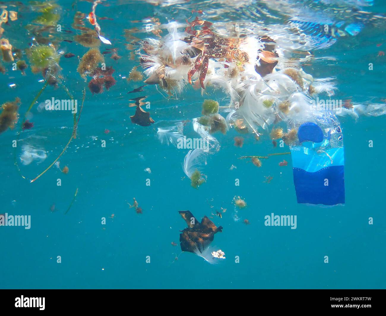 Vue sous-marine sur la pollution de l'océan avec le plastique (îles Canaries, Espagne) Banque D'Images