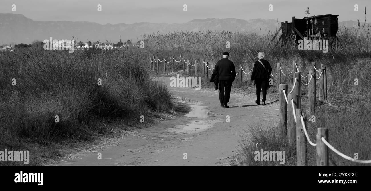 Personnes âgées errantes : flâner dans le Delta Reeds Banque D'Images
