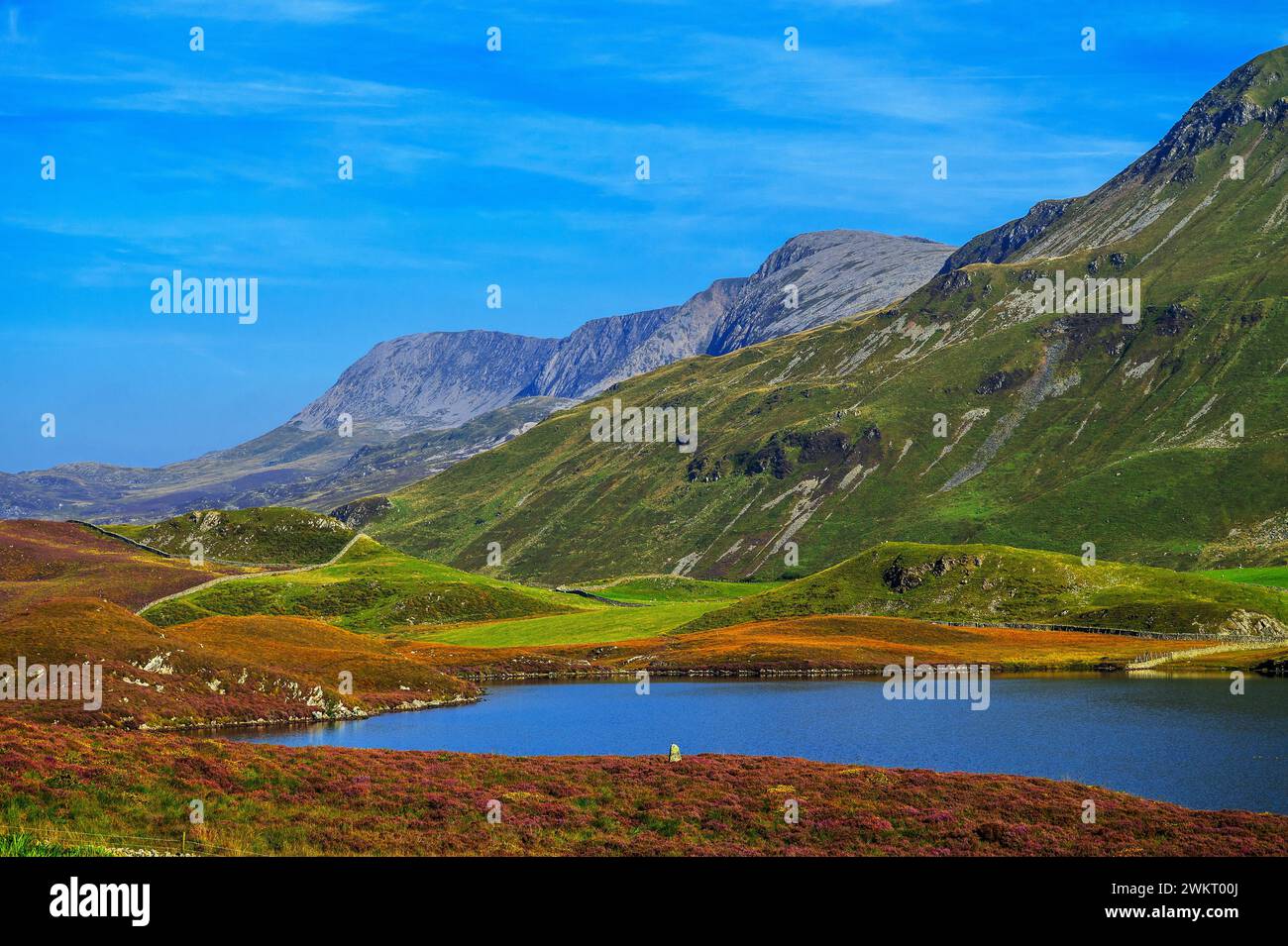 cregennan lacs cadair idris nord du pays de galles gwynedd royaume-uni Banque D'Images