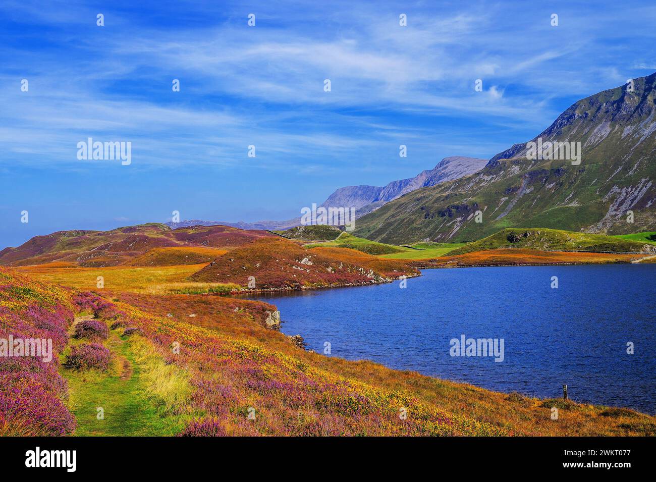 cregennan lacs cadair idris nord du pays de galles gwynedd royaume-uni Banque D'Images