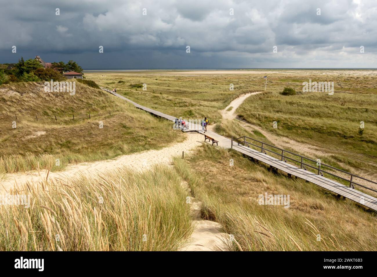 Les gens marchant sur le sentier de promenade dans les dunes près de la plage de Kniepsand à Wittdun, île d'Amrum, Frise du Nord, Schleswig-Holstein, Allemagne Banque D'Images