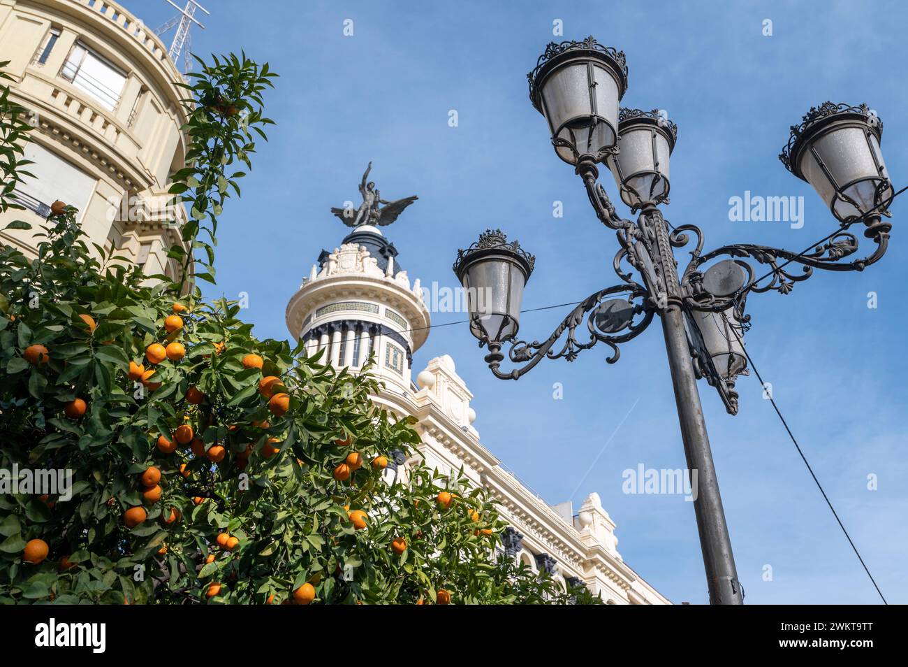 Arbres avec des oranges amères déchirées autour de la Plaza de las Tendillas .dans la ville historique de Cordoue en Andalousie, sud de l'Espagne. Banque D'Images