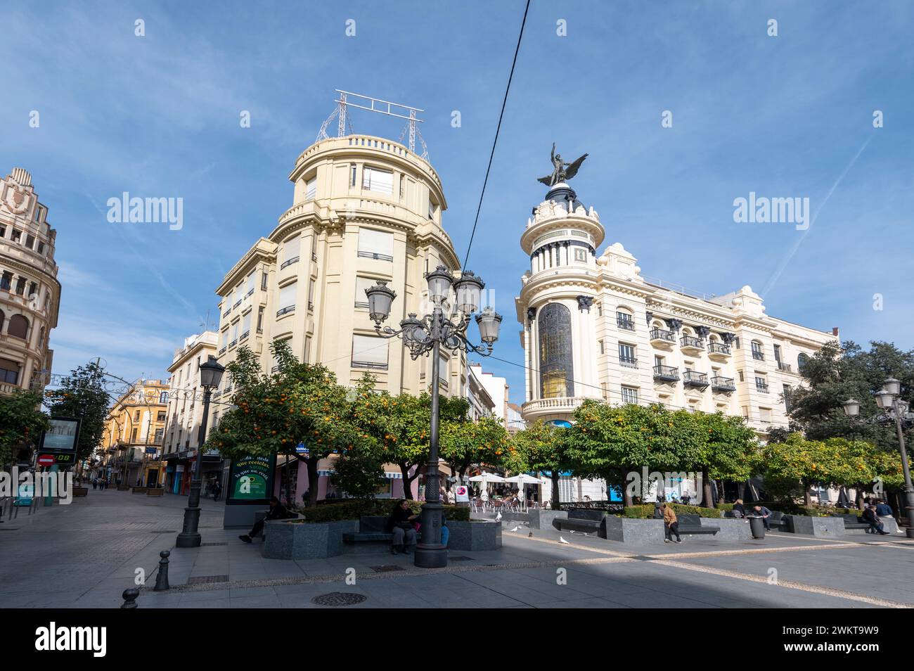 Arbres avec des oranges amères déchirées autour de la Plaza de las Tendillas .dans la ville historique de Cordoue en Andalousie, sud de l'Espagne. Banque D'Images