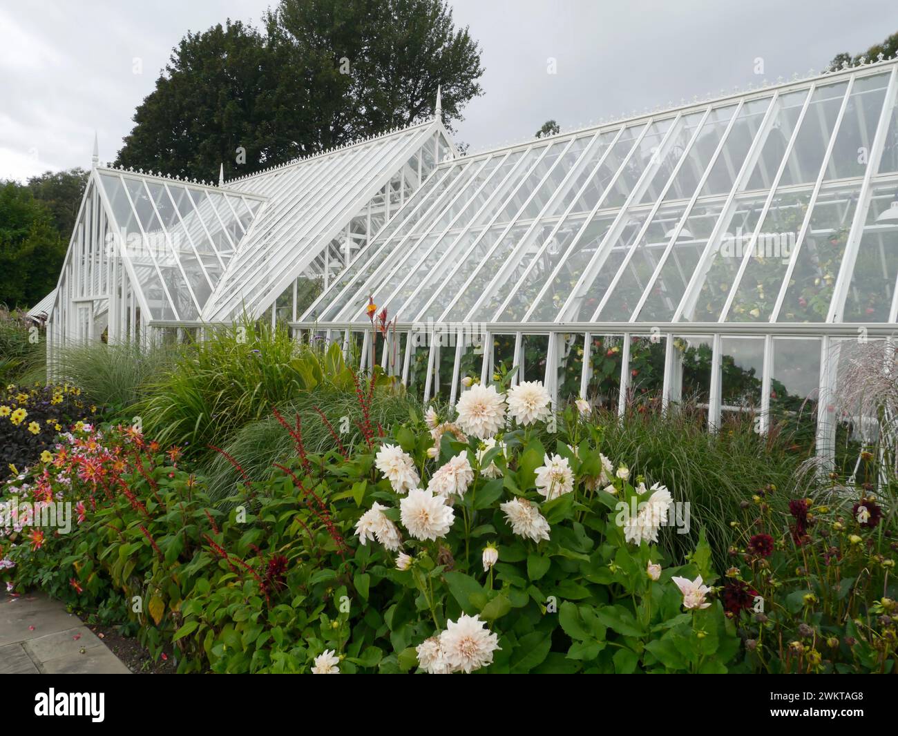 The Greenhouse, Logan Botanic Garden, Mull of Galloway, Dumfries and Galloway, Écosse, Royaume-Uni Banque D'Images